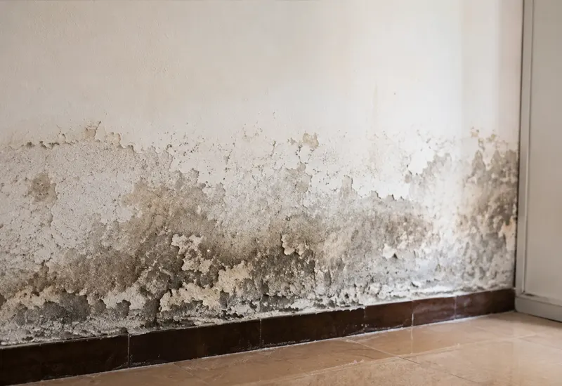 Préparations maison